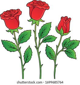 Rose flower theme image 1 - eps10 vector illustration.
