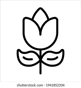 rose, flower thin line icon  
