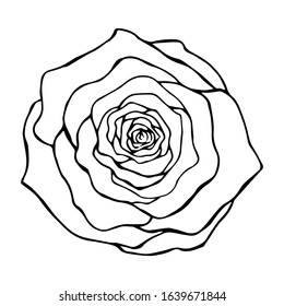 Rose flower top view contour drawing in black on a white background isolated, vector illustration for design and derok, prints, logo, tattoo, template for cutting, stickers