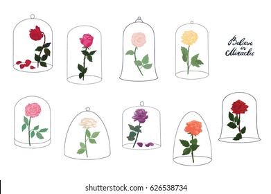 Rose Flower Under A Glass Dome Vector Illustrations Set