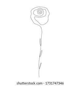 Rose flower, valentines day background vector illustration