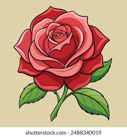 Rose flower vector art illustration