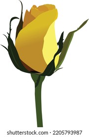 Dibujo vectorial de flor rosa.esto está en archivos eps.