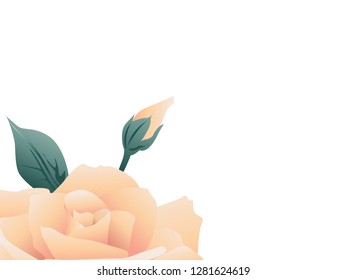 rose flower vector for banner, presentation and wallpaper purposes on white background 16