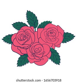 Rose flower vector design, beautiful rose art and illustration isolated on white background