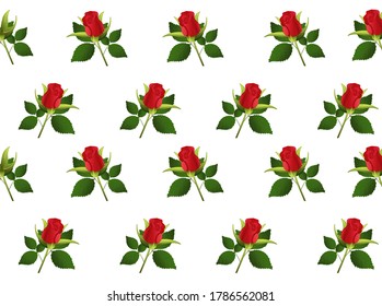 Rose flower vector design, beautiful rose flower art and illustration isolated on white background. pattern