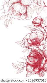 rose, flower, vector, drawing, illustration, background, isolation, line