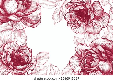 rose, flower, vector, drawing, illustration, background, isolation, line