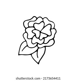 Rose Flower Vector Hand Drawn Doodle Stock Vector (Royalty Free ...