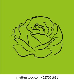 rose, flower, vector icon, eps10