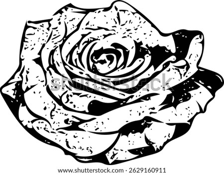 rose flower vector icon love valentine romance passion lust rosaceae line drawing