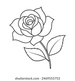 A Rose flower with vector illustration