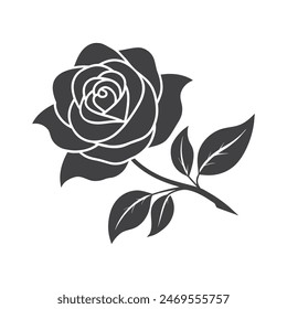 A Rose flower with vector illustration