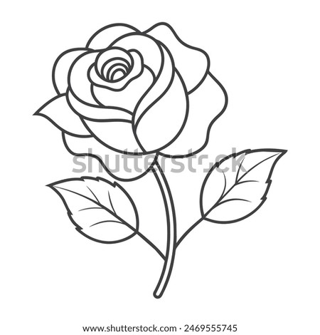 A Rose flower with vector illustration