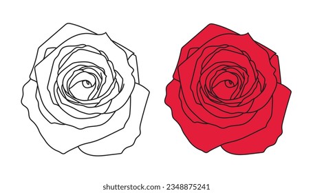 Rose flower vector illustration art Line art and colored 