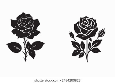 Rose flower vector illustration design