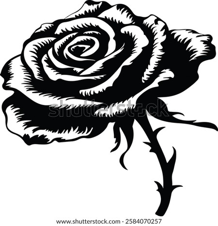A Rose Flower Vector Illustration is a high-quality digital artwork featuring a beautifully designed rose in vector format. Ideal for logos, invitations, packaging, and decorative designs, these illus