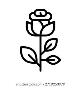 Rose Flower Vector Illustration, Line Style Icon.