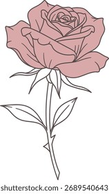 Rose flower vector illustration, romantic floral icon for love, beauty, nature, garden, wedding, valentine, and botanical design