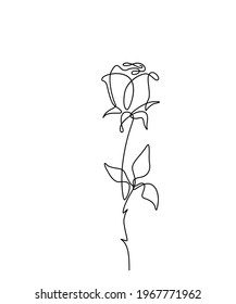 Rose flower vector illustration in simple minimal continuous outline one line style. Nature blossom art for floral botanical design. Isolated on white background.