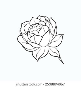 Rose Flower Vetor Ilustração isto é um arquivo vetorial