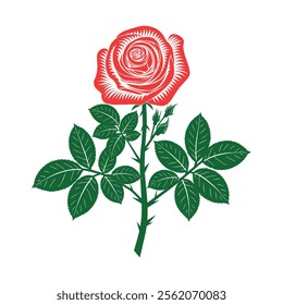 Rose flower vector illustration with white background
