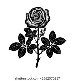 Rose flower vector illustration with white background