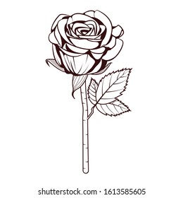 Rose Flower Vector Images,Vector Image 