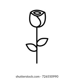 rose flower vector line icon, sign, illustration on background, editable strokes