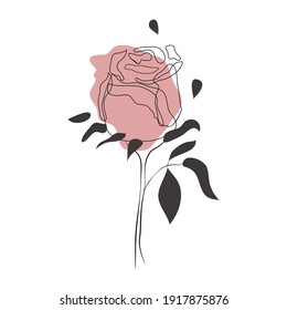 Rose flower. Vector lineart. Minimalist contour drawing. Artwork for banner, book design, web illustration, cards.