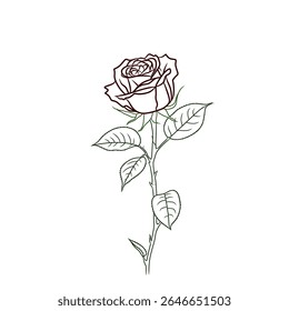 Vetor de flor de rosa com aparência simples pode ser usado para logotipos ou complementos de imagem