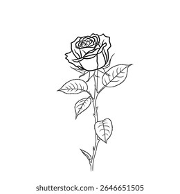Rose flower vector with simple appearance can be used for logos or image complements