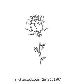 Vetor de flor de rosa com aparência simples pode ser usado para logotipos ou complementos de imagem