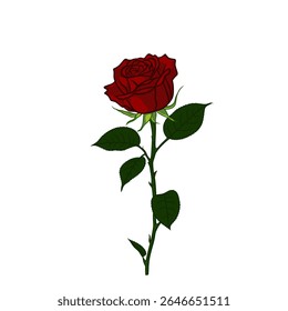 Vetor de flor de rosa com aparência simples pode ser usado para logotipos ou complementos de imagem