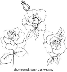 Rose flower in a vector style isolated. Full name of the plant: rose. Vector flower for background, texture, wrapper pattern, frame or border.