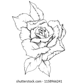 Rosenblume im Vektorstil einzeln. Vollständiger Name der Pflanze: Rose. Vektorblume für Hintergrund, Textur, Wrapper-Muster, Rahmen oder Rahmen.