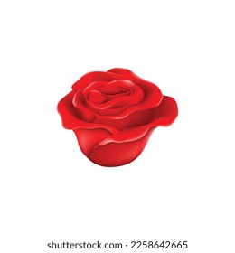 Rose flower vector use for any perfuse. 
