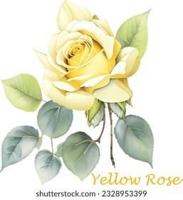 Rose flower watercolor clipart vecror