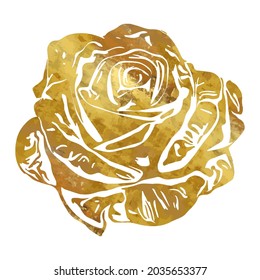 Rose Flower Watercolor Hand drawn doodle shape