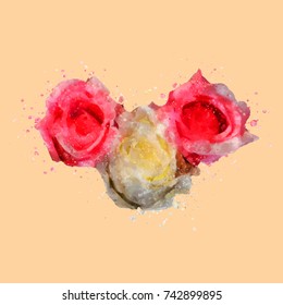 Rose flower watercolor vector.