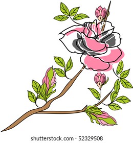 Rose flowers