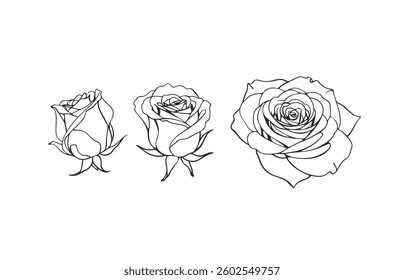 Rose Flowers Black Sketch Line Drawing Set. Minimalist Botanical Design with Abstract Linear Rose Flowers Sketch. Floral Template for Botanical Design. Vector Illustration