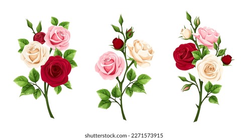 Flores de rosa. Ramas de rosas rojas, rosas y blancas aisladas en un fondo blanco. Conjunto de ilustraciones vectoriales