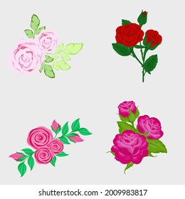 Conjunto de colección de flores de rosa,ilustración vintage vectorial 
