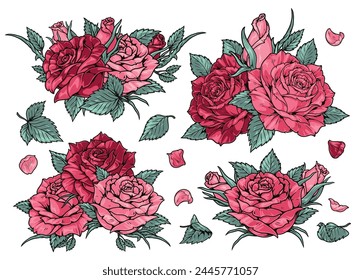 Rose flowers colorful set elements with scarlet buds of blooming fragrant plants and green petals vector illustration