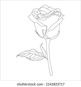 rose flowers drawing with line-art on white backgrounds. Vector outline flowers. Line art coloring page with roses and leaves