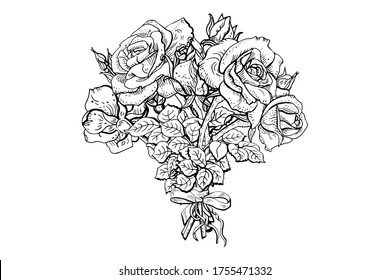 Flores de rosa dibujando ilustraciones vectoriales y líneas de arte.