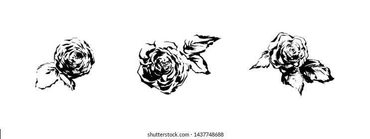 Rose flowers hand drawn set. Plant painting by ink. Sketch botanical vector illustration. Black isolated dog-rose on white background.