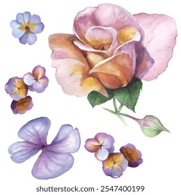 Flores de rosas. Ilustração desenhada à mão feita com lápis aquarela. Use materiais impressos, sinais, objetos, sites, mapas.
