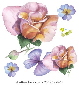 Flores de rosas. Ilustração desenhada à mão feita com lápis aquarela. Use materiais impressos, sinais, objetos, sites, mapas.
